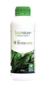 BROTAVERD